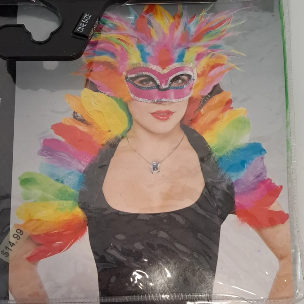 Rainbow Vibrant Feathered Party Mask with Jewel Accents Bundle